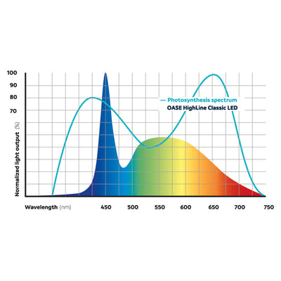 Oase HighLine Classic LED