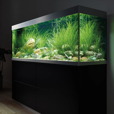 Oase HighLine Classic LED