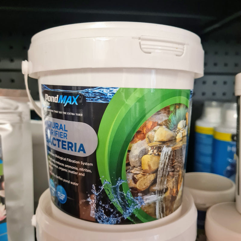 Pondmax Clarifier Bacteria