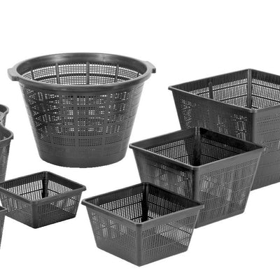 Water Lily Baskets