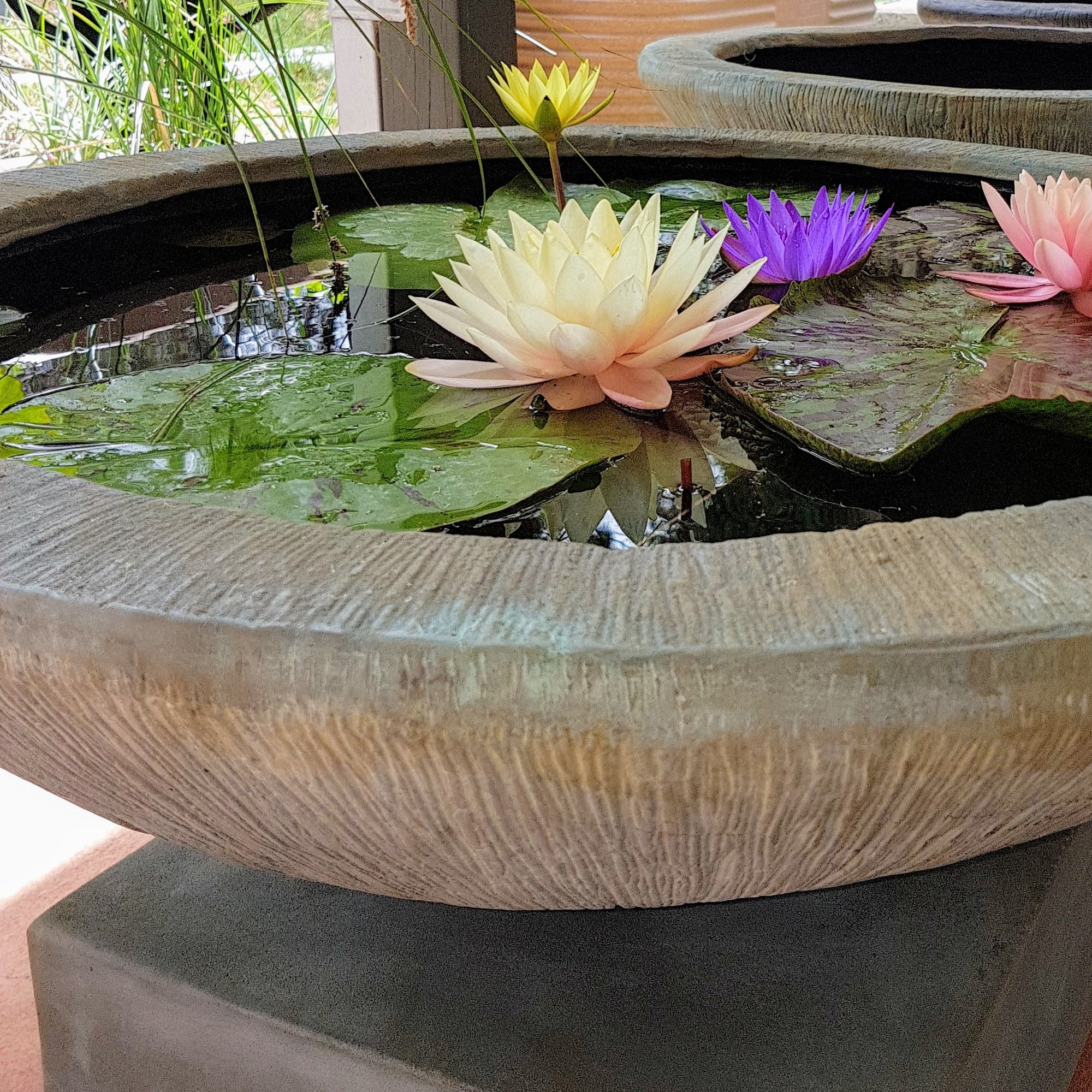 Water Feature Bowls - Tips for Success