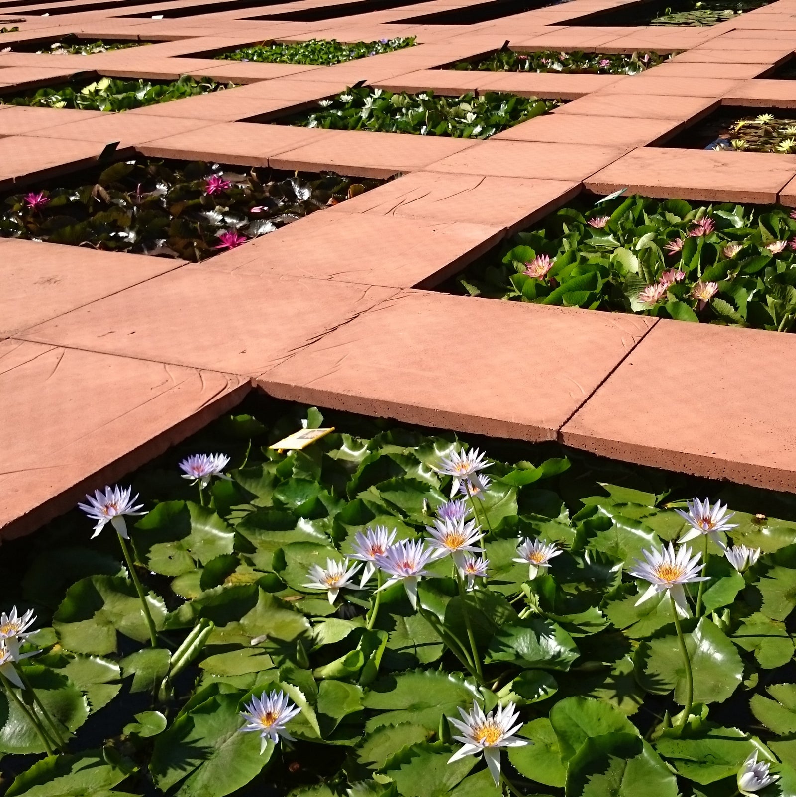 Calculating Pond Volume