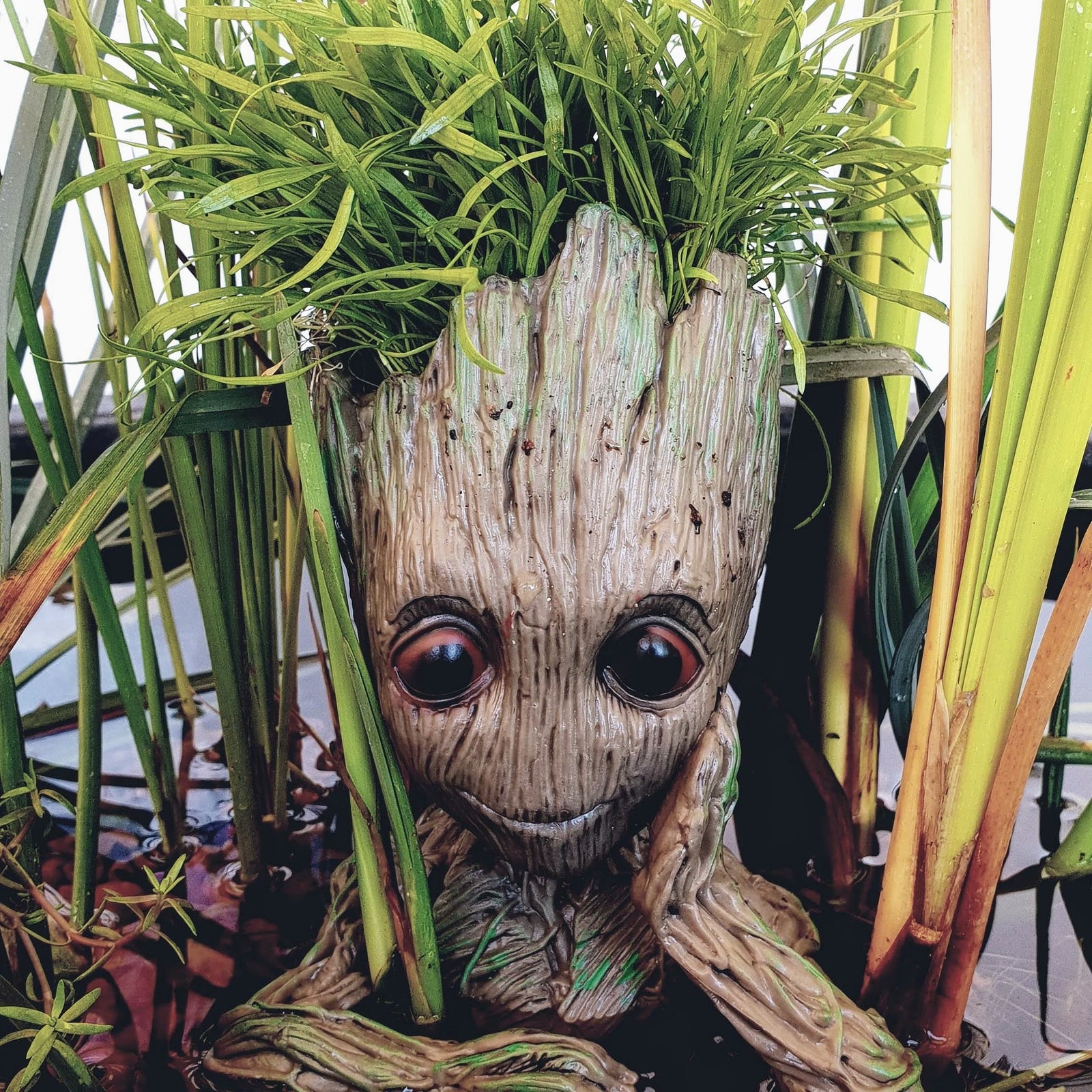 Shhhh.... It's Winter, A Quiet Time For Your Pond