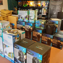 Everything Ponds, Water Lilies, Fish and Pond Supplies