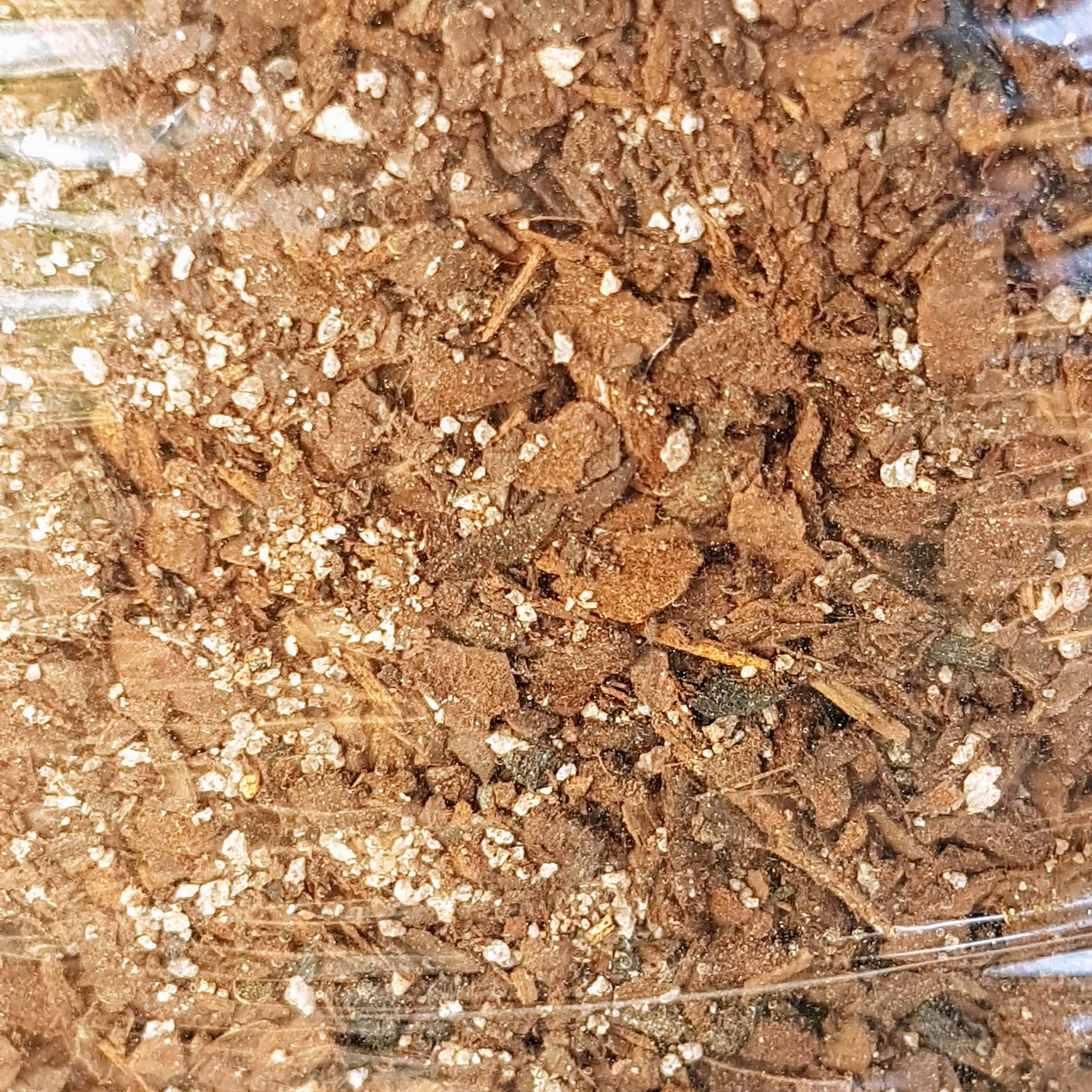 Water Planting Mix / Soil