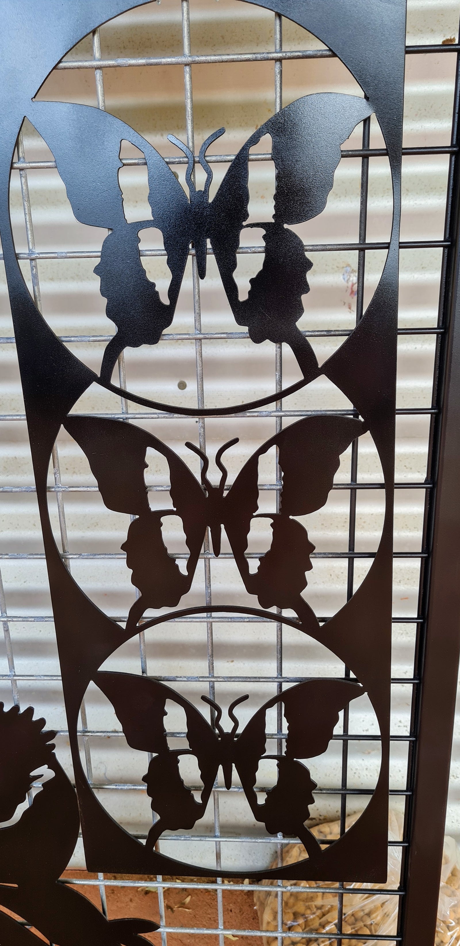 3 Butterfly Wall Art