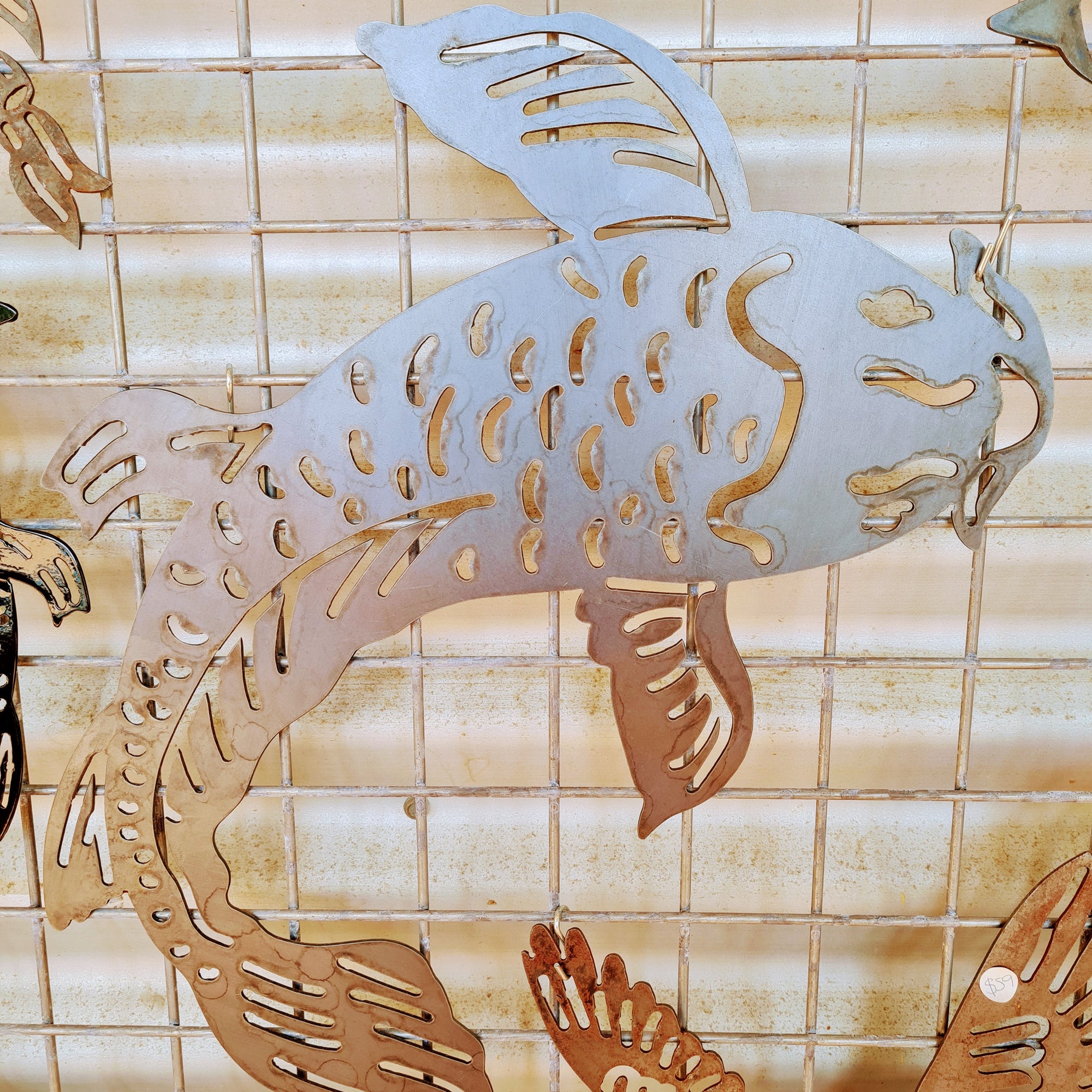 Single Koi Fish Wall Art