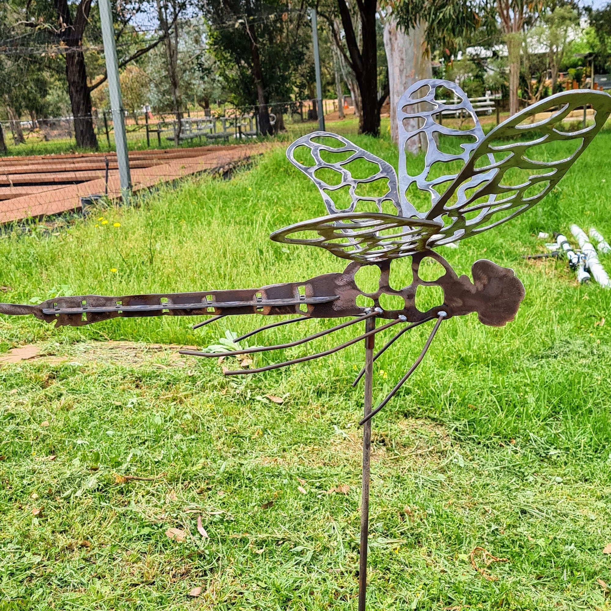 Giant 3D Dragonfly
