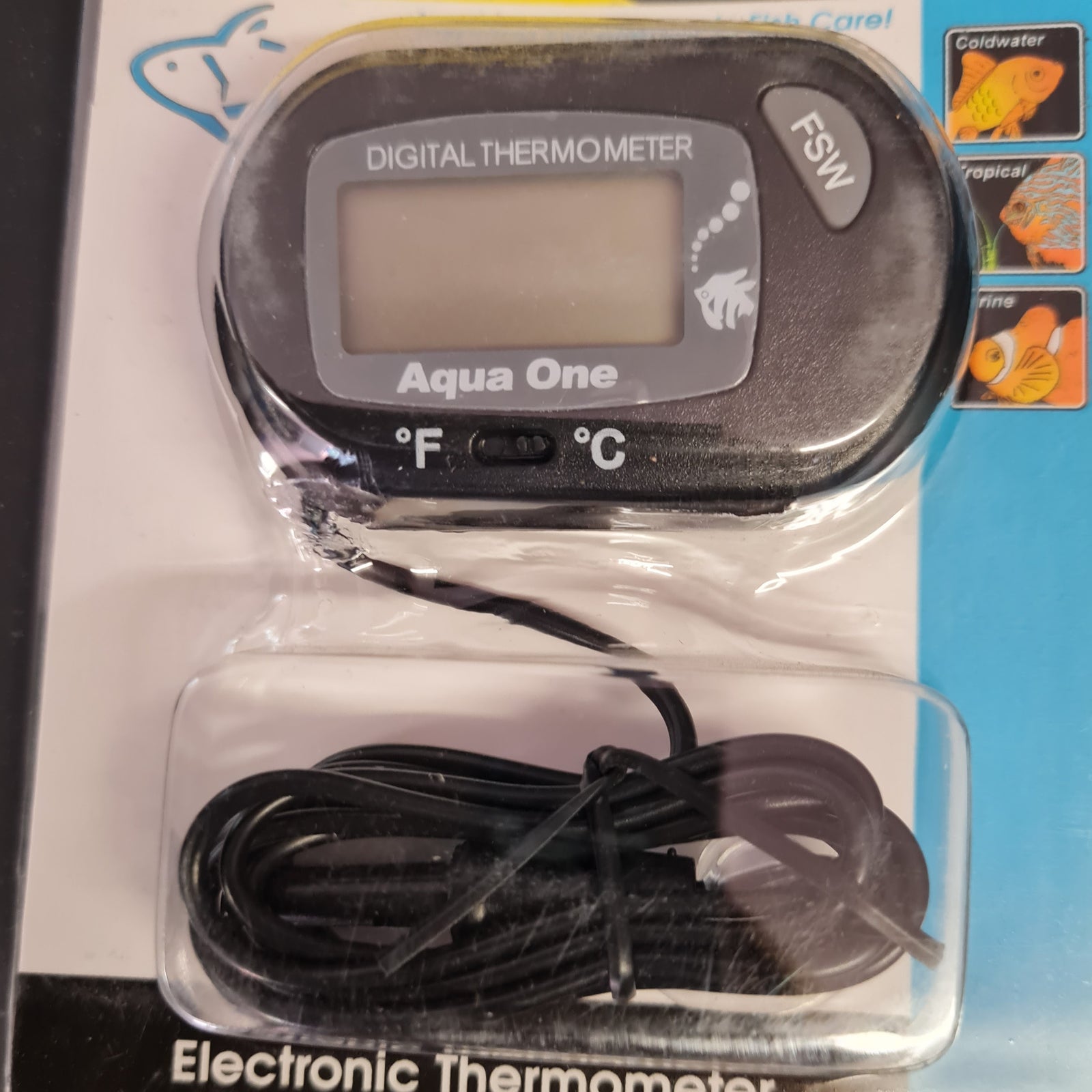 Electronic Thermometer