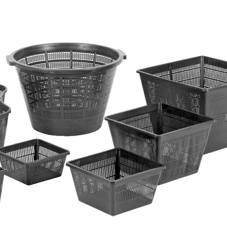 Water Lily Baskets